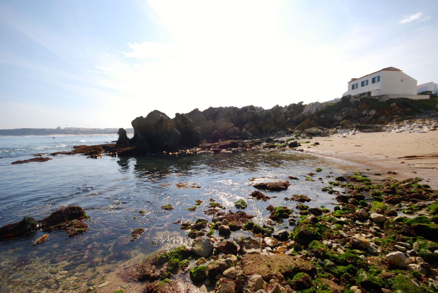 Julia_House photo 26