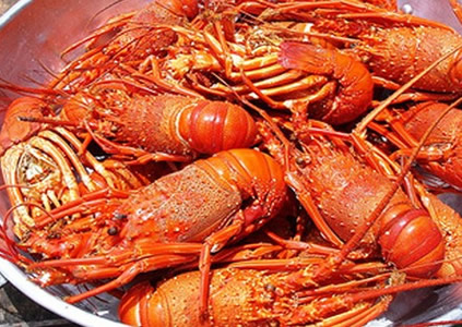 Festival de Marisco da Atalaia